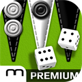 Backgammon Gold PREMIUM