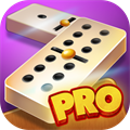 Dominoes Pro Offline or