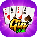 Gin Rummy Plus