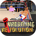 Wrestling Revolution