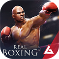 Real Boxing