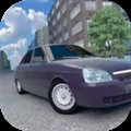 Tinted Car Simulator