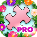 Jigsaw Puzzle Pro