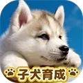 dog puppy breeding game