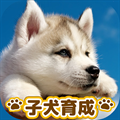 子犬のかわいい育成ゲーム