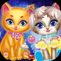 Pet Cat Makeup Salon