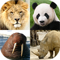 Animals Quiz