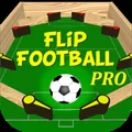 Flip Football Pro