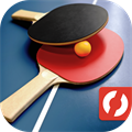 Ping Pong VR