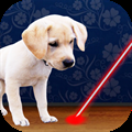 Laser Pointer for Dogs