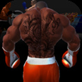 Virtual Boxing 3D Game Fight