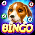 Bingo Dog