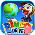 Bingo Drive