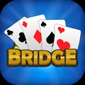 Bridge Card Game Classic