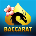 Baccarat Dragon Ace Casino