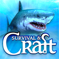 Survival Craft