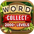 Word Collect Word Puzzle Games