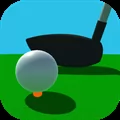 Pro Golf Challenge