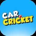 Car Cricket