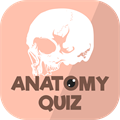 Anatomy Physiology Quiz