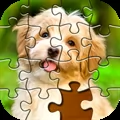 Jigsaw Puzzles