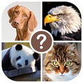 Animals quiz