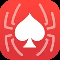 Spider Solitaire Card Game