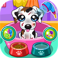 Caring for puppy salon games