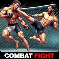 Combat Fighting