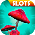 Mushrooms Slots Casino