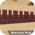 Marimba Xylophone Vibraphone