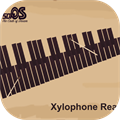 Xylophone Real