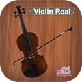 Violin Real