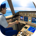 Flight Simulator 2025