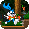 Beeny Rabbit Adventure World