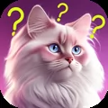 Cat Breed Games Dear My Kitten