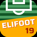 Elifoot 19