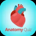 Anatomy and Physiology Quiz