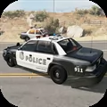 Police Sim