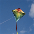 Kite Flying 2025