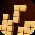 Block Sudoku Puzzle