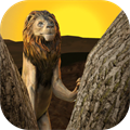 Wild Lion Survival Simulator