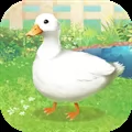 Duck Pet