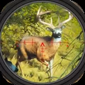 Deer Hunter 2025 Shooting Game