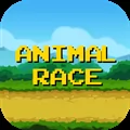 Animal Race 애니멀 레이스