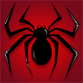 Spider Solitaire Card Game