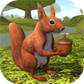 Squirrel Simulator 2