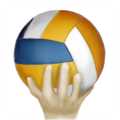 SimpleVolleyball