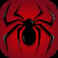 Spider Solitaire Card Game