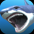 Great white shark breeding AR